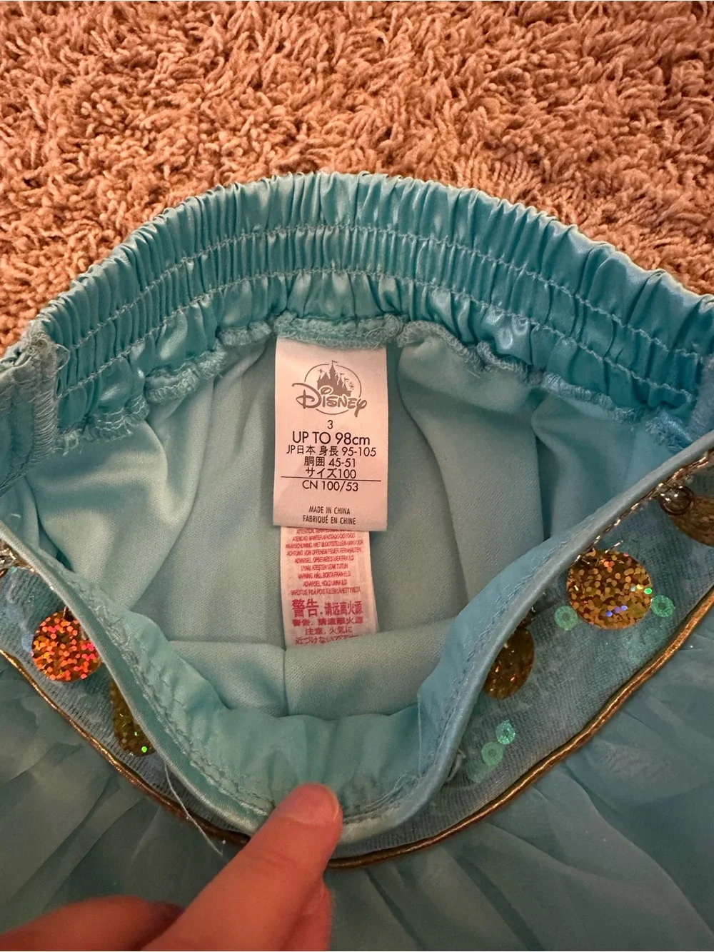 Disney Princess Jasmine Costume from Disneyland